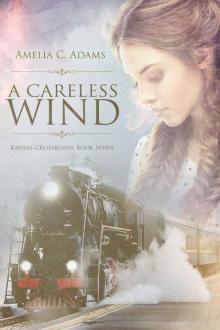 A Careless Wind (Kansas Crossroads Book 7)