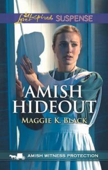 Amish Hideout (Amish Witness Protection Book 1)