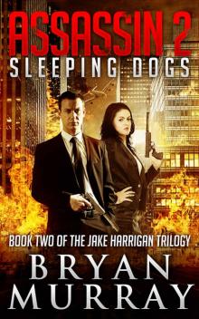 Assassin 2 - Sleeping Dogs (Assassin Series)