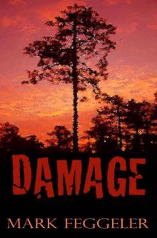 Damage