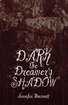 Dark the Dreamer's Shadow (The Paderborn Chronicles Book 2)