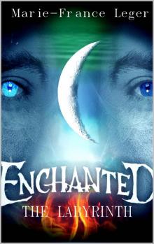 Enchanted: The Labyrinth