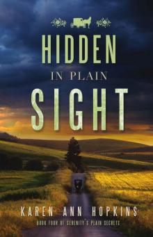 Hidden in Plain Sight (Serenity's Plain Secrets Book 4)