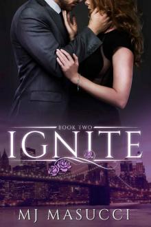 Ignite: Book 2 (The Heat Series 1)