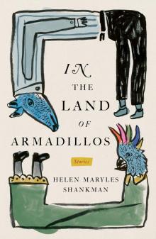 In the Land of Armadillos