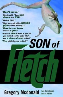 Son of Fletch