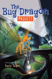 The Bug Dragon Project