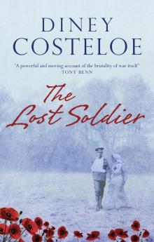 The Lost Soldier