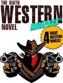 The Sixth Western Novel