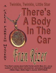 Twinkle, Twinkle, Little Star, There's A Body In The Car (Callie Parrish Mysteries)