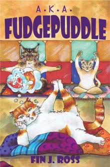 A. K. A. Fudgepuddle