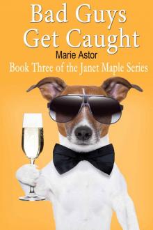 Bad Guys Get Caught (Book Three) (Janet Maple Series)