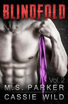 Blindfold Vol. 2: Alpha Billionaire Romance