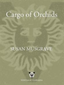 Cargo of Orchids