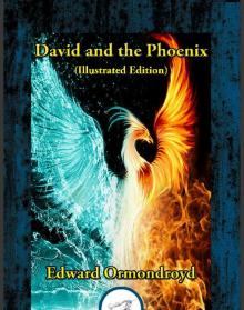 David and the Phoenix