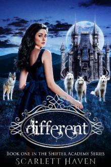 Different (Shifter Academy Book 1)