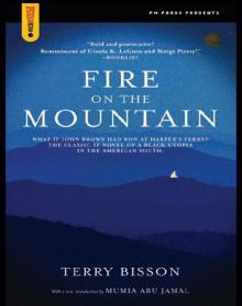 Fire on the Mountain