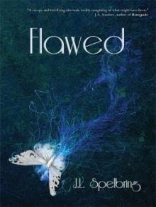 Flawed (Perfection)