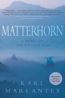 Matterhorn: a novel of the Vietnam War