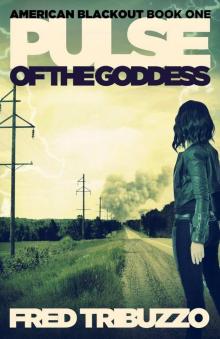 Pulse of the Goddess: American Blackout Book One