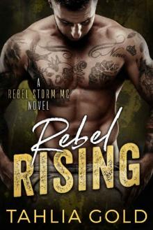 Rebel Rising: A Rebel Storm MC Romance