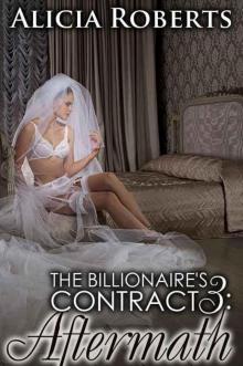 The Billionaire's Contract 3: Aftermath