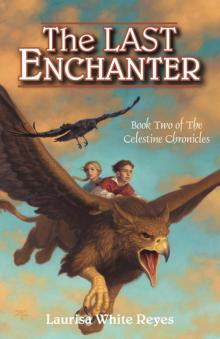 The Last Enchanter