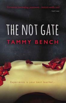 The Not Gate (Tom and Alice #1)