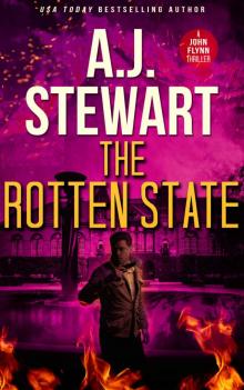 The Rotten State: A John Flynn Thriller