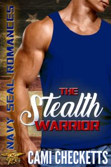 The Stealth Warrior: Navy SEAL Romance 2.0