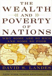 The Wealth and Poverty of Nations: Why Some Are So Rich and Some So Poor