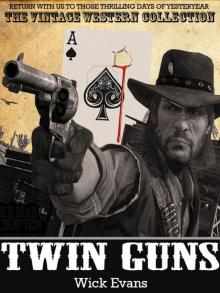 Twin Guns