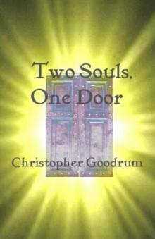 Two Souls, One Door (Into the Void Book 1)