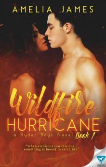 Wildfire Hurricane (A Ryder Boys Novel Book 1)