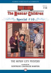 Windy City Mystery