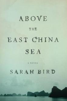 Above the East China Sea: A novel