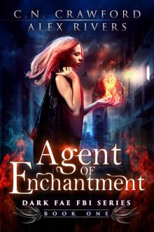 Agent of Enchantment (Dark Fae FBI Book 1)