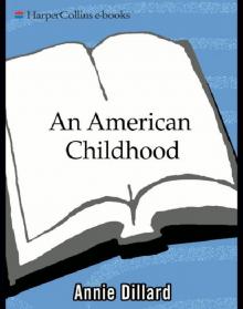 American Childhood