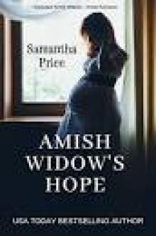 Amish Widow's Hope