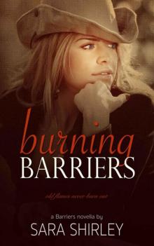 Burning Barriers (Barriers Series Book 3)