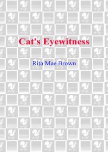 Cat's Eyewitness