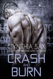 Crash and Burn (Cyborg Sizzle #3)