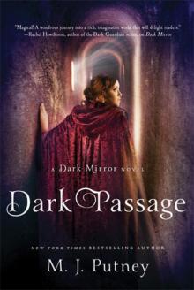 Dark Mirror 2 - Dark Passage