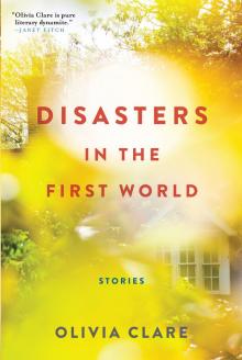 Disasters in the First World