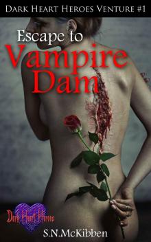 Escape To Vampire Dam (Dark Heart Heroes Book 1)