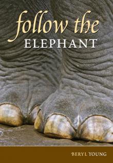 Follow the Elephant