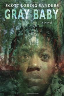 Gray baby: a novel