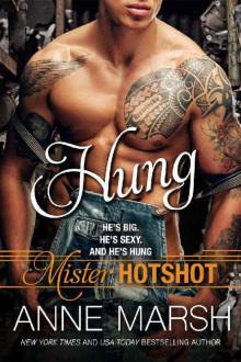 Hung (Mister Hotshot Book 1)