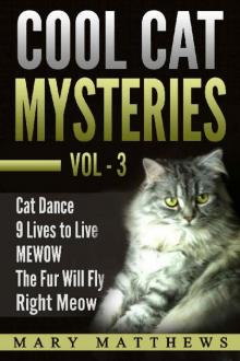 Magical Cool Cat Mysteries Boxed Set Volume 3 (Magical Cool Cats Mysteries)