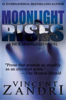 Moonlight Rises (A Dick Moonlight Thriller)